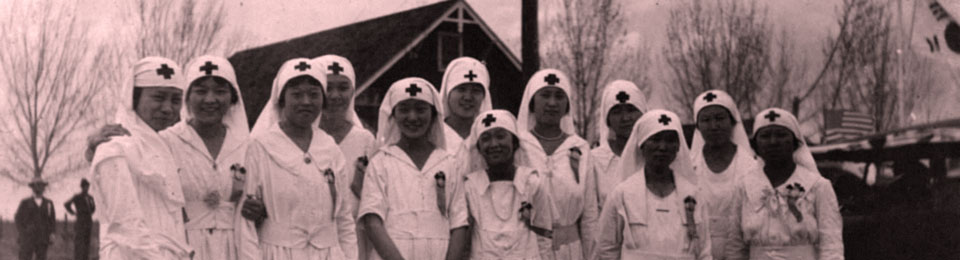 Il comitato internazionale della Croce Rossa  e le sfide del biennio 1945-1946